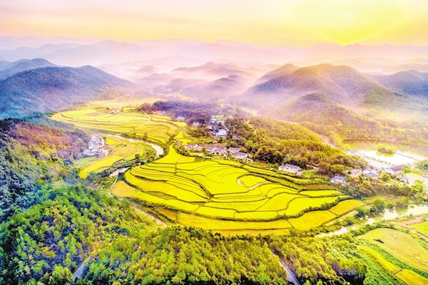 無限風(fēng)光在鄉(xiāng)村