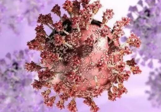 呼吸障礙、性功能障礙……男的得了新冠狀肺炎有什么后遺癥癥狀或?qū)⒂谰脫p傷男性性功能,男人生殖器縮小和陰莖勃起勃起障礙硬不起來或者硬度不夠(圖1)