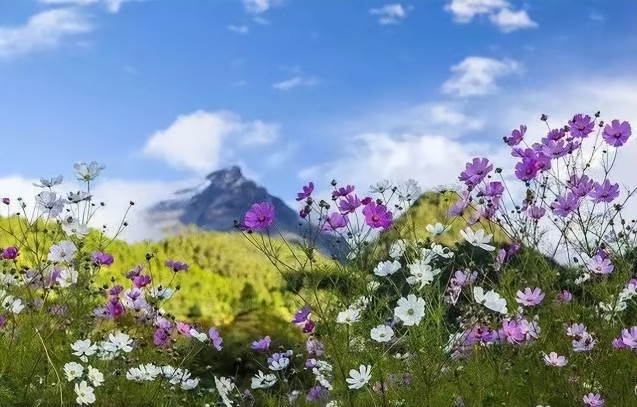 嘉黎縣有什么好玩的地方景點(diǎn)推薦？嘉黎縣十大旅游景點(diǎn)排名-西藏區(qū)嘉黎縣旅游攻略必去一日游有哪些免費(fèi)景點(diǎn)(圖1)