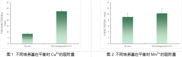 【科技】共生新模式：細(xì)菌纖維素與藍(lán)藻聯(lián)手“洗凈”水污染——武漢理工大學(xué)生命科學(xué)學(xué)院最新研究成果解讀(圖1)
